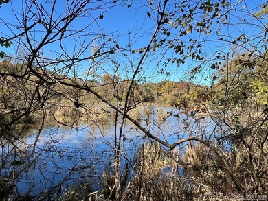 Gorgeous Island Creek Reservoir unrestricted waterfront land - photo 17