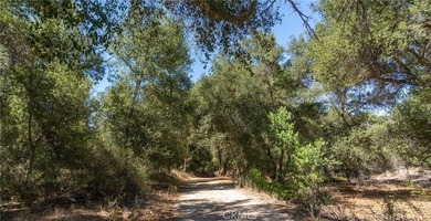 Discover this extraordinary opportunity to own a large portion - photo 18