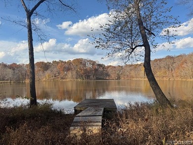 Gorgeous Island Creek Reservoir unrestricted waterfront land - photo 18