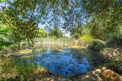 Discover this extraordinary opportunity to own a large portion - photo 20
