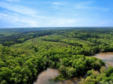 Gorgeous Island Creek Reservoir unrestricted waterfront land - photo 20