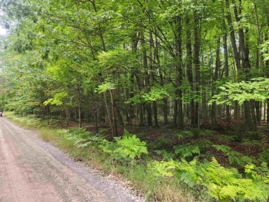 (private lake, pond, creek) Lot Active Under Contract in Lake Michigan