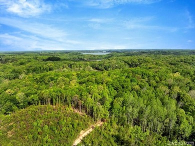 Gorgeous Island Creek Reservoir unrestricted waterfront land - photo 21