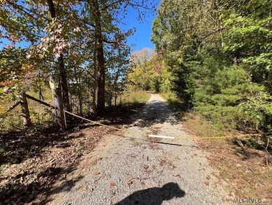 Gorgeous Island Creek Reservoir unrestricted waterfront land - photo 24