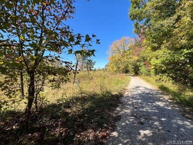 Gorgeous Island Creek Reservoir unrestricted waterfront land - photo 26