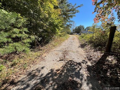 Gorgeous Island Creek Reservoir unrestricted waterfront land - photo 28