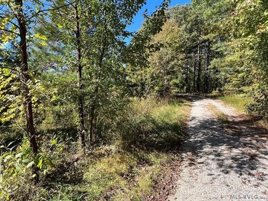 Gorgeous Island Creek Reservoir unrestricted waterfront land - photo 30