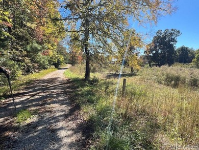 Gorgeous Island Creek Reservoir unrestricted waterfront land - photo 31