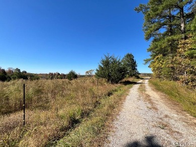 Gorgeous Island Creek Reservoir unrestricted waterfront land - photo 32