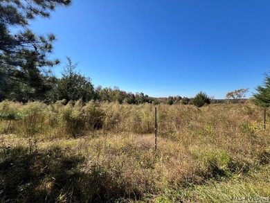 Gorgeous Island Creek Reservoir unrestricted waterfront land - photo 33