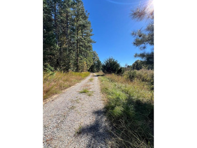 Gorgeous Island Creek Reservoir unrestricted waterfront land - photo 34