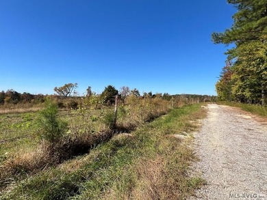 Gorgeous Island Creek Reservoir unrestricted waterfront land - photo 35