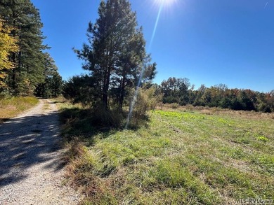 Gorgeous Island Creek Reservoir unrestricted waterfront land - photo 37