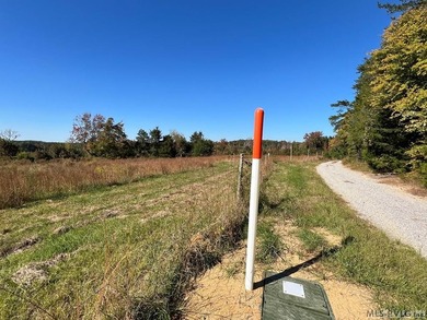 Gorgeous Island Creek Reservoir unrestricted waterfront land - photo 40