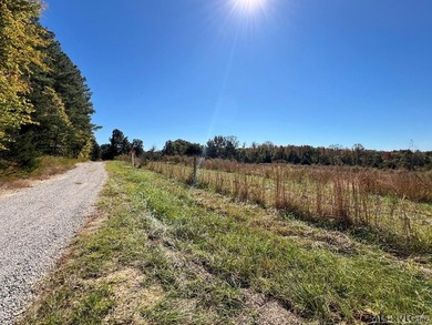 Gorgeous Island Creek Reservoir unrestricted waterfront land - photo 42
