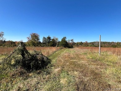 Gorgeous Island Creek Reservoir unrestricted waterfront land - photo 44
