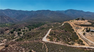 Discover this extraordinary opportunity to own a large portion - photo 45