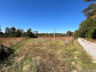 Gorgeous Island Creek Reservoir unrestricted waterfront land - photo 45