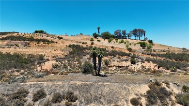 Discover this extraordinary opportunity to own a large portion - photo 46