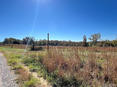 Gorgeous Island Creek Reservoir unrestricted waterfront land - photo 47