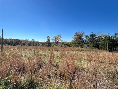 Gorgeous Island Creek Reservoir unrestricted waterfront land - photo 48