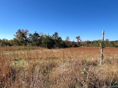 Gorgeous Island Creek Reservoir unrestricted waterfront land - photo 49