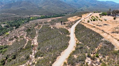 Discover this extraordinary opportunity to own a large portion - photo 50
