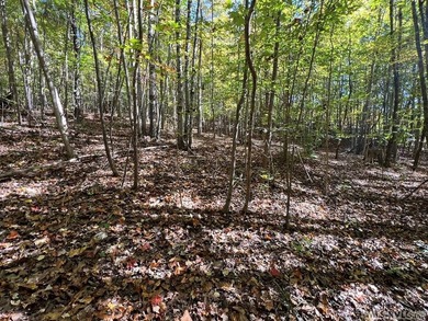 Gorgeous Island Creek Reservoir unrestricted waterfront land - photo 52