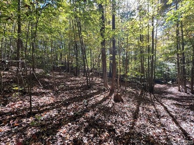 Gorgeous Island Creek Reservoir unrestricted waterfront land - photo 53