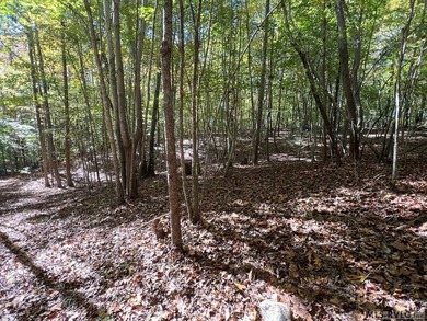 Gorgeous Island Creek Reservoir unrestricted waterfront land - photo 55