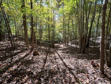 Gorgeous Island Creek Reservoir unrestricted waterfront land - photo 56