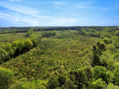 Gorgeous Island Creek Reservoir unrestricted waterfront land - photo 58