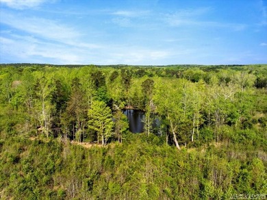 Gorgeous Island Creek Reservoir unrestricted waterfront land - photo 60