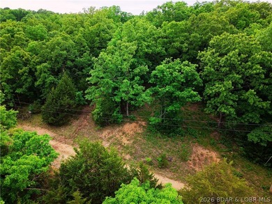 Three wooded lots on Mohawk Ln in Rocky Mount with access to - photo 1