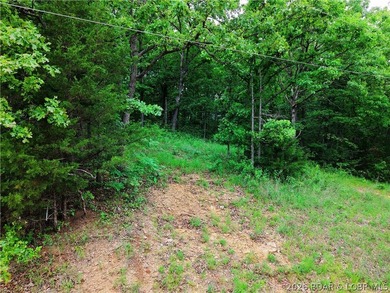 Three wooded lots on Mohawk Ln in Rocky Mount with access to - photo 2