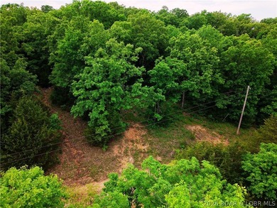 Three wooded lots on Mohawk Ln in Rocky Mount with access to - photo 3