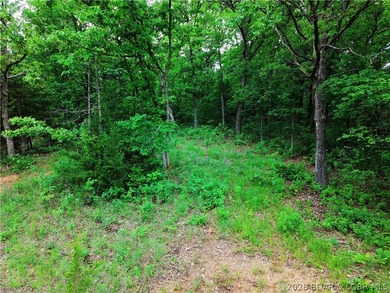 Three wooded lots on Mohawk Ln in Rocky Mount with access to - photo 4