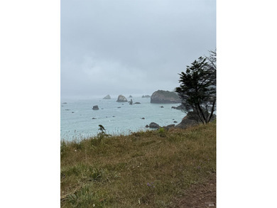 This is a one of a kind property of 18 acres including - photo 13