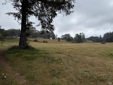 This is a one of a kind property of 18 acres including - photo 14