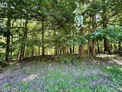 Stop Searching-Start Building! These TWO spacious, waterfront - photo 2