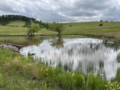 Lake Lot For Sale in Whitewood, South Dakota