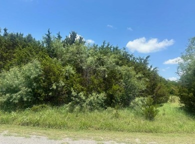 Lake Lot For Sale in Whitney, Texas