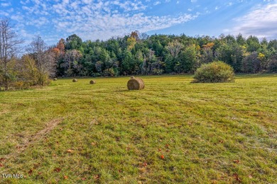 Holston River - Hawkins County Acreage For Sale in Rogersville Tennessee