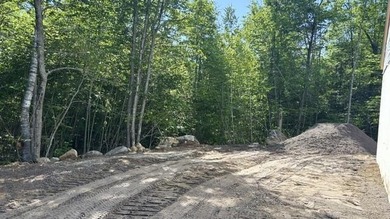 Currently under construction with the exterior almost complete - photo 11
