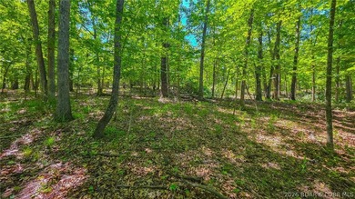 Rare Opportunity on the Signature 4th Hole in Porto Cima! Build - photo 3