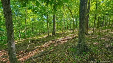 Rare Opportunity on the Signature 4th Hole in Porto Cima! Build - photo 4