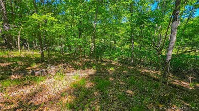 Rare Opportunity on the Signature 4th Hole in Porto Cima! Build - photo 5