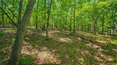 Rare Opportunity on the Signature 4th Hole in Porto Cima! Build - photo 6