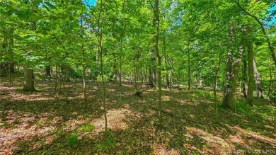 Rare Opportunity on the Signature 4th Hole in Porto Cima! Build - photo 8