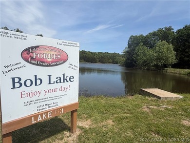 2.84 acres of gentle/flat, very buildable, lakefront land on the - photo 2